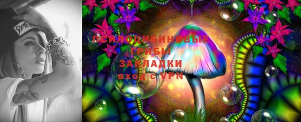 скорость Арсеньев