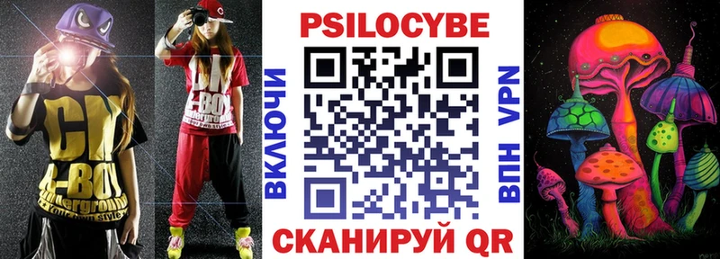 Галлюциногенные грибы Psilocybe  Купить где  Тара 