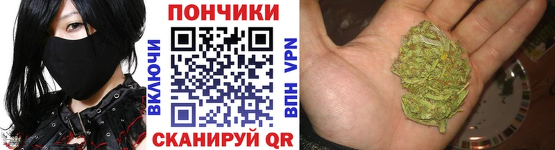 Купить  Тара  Марихуана марихуана 